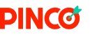 Logo pinco-azerbaijan-azn.ink